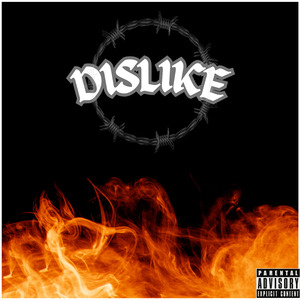Dislike