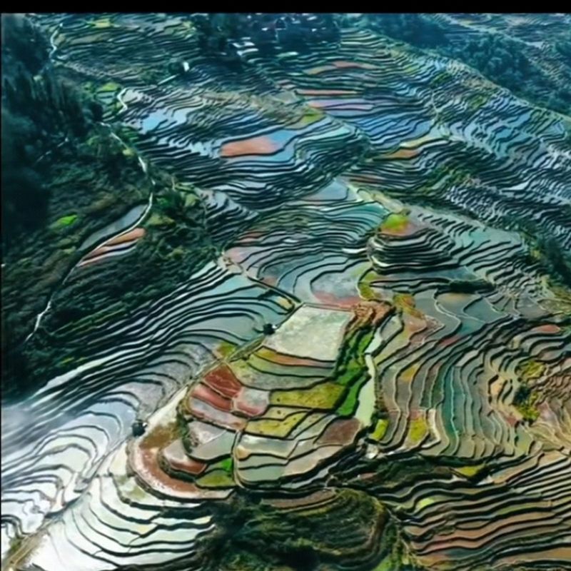 川流不息封面