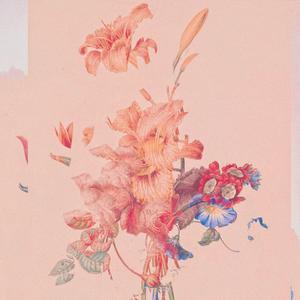 SOU FILHO DE VAQUIERO