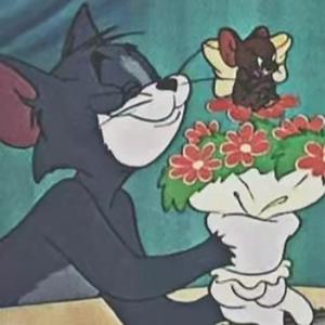 玫瑰送你才浪漫