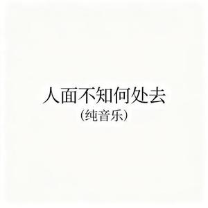 人面不知何处去 (纯音乐)