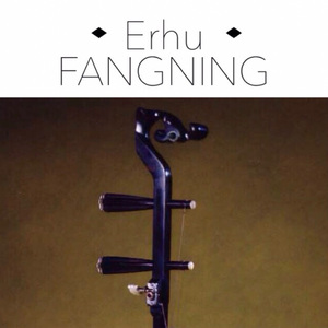 在水一方（二胡版）