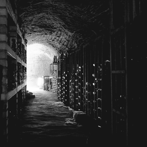 Fake the Funk (feat. Suicide Kings)