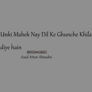 Unki Mahek Nay Dil Ke Ghunche Khila Diye Hain (Lofi-Mix)