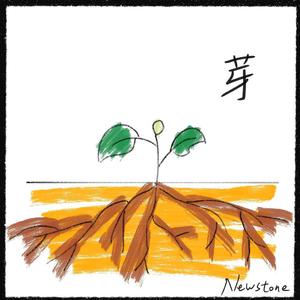 夜星（evening stars）