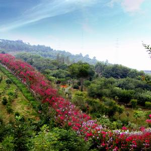 与你走过的四季风景