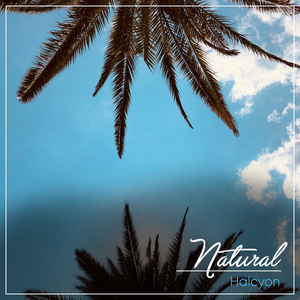 Alpha Waves on the Shore