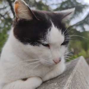 最好的止损 是承认我一败涂地