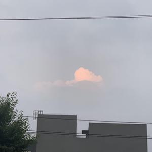 timmies-无题(Remix)