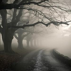 What The Eye Can't See | Rain