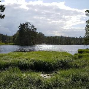 Fall Easily into Deep Sleep