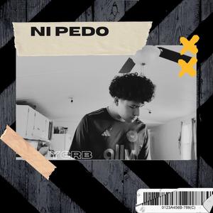 Ni pedo