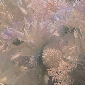 空空（原唱：陈粒）