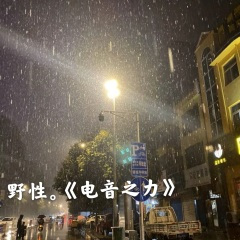 我向你奔赴而来你就是星辰大海 (DJ版)