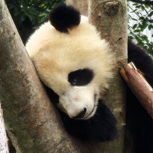 优惠的风吹过巷口.MP3.mp3