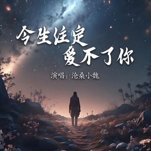 今生注定爱不了你了