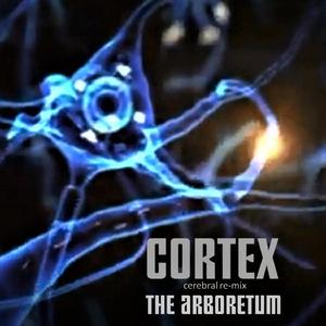Cortex