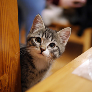 ねぇ、あそぼうよ！