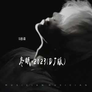 冬眠（DJ迷人磊 remix）