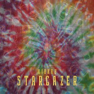 Stargazer 303
