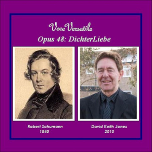 DichterLiebe Op. 48: XVI. Die alten, bösen Lieder