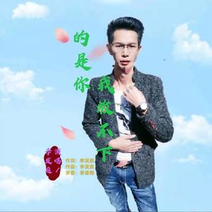 李发庭 - 我放不下的是你
