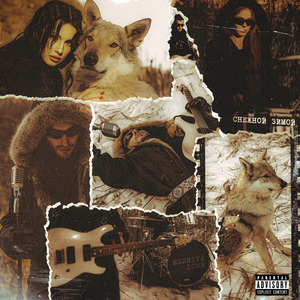 СНЕЖНОЙ ЗИМОЙ