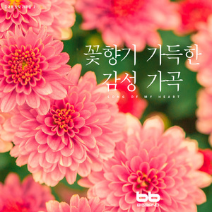 들국화 Nationalization