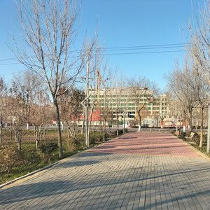 用尽半生换明天