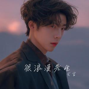 很浪漫先生