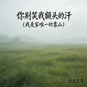 你别笑我额头的汗(我是家唯一的靠山)