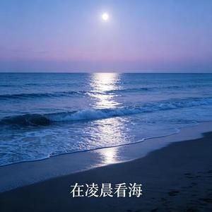 在凌晨看海 (周小六 Remix)