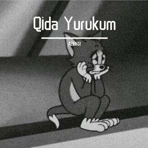 Qida Yurukum新版