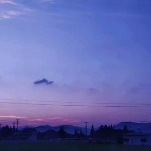 春色三分，二分尘土，一分流水。