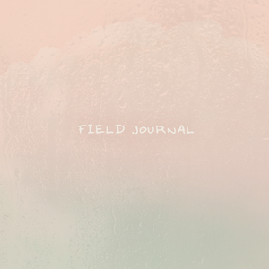 Seaway (Coastal Rain)