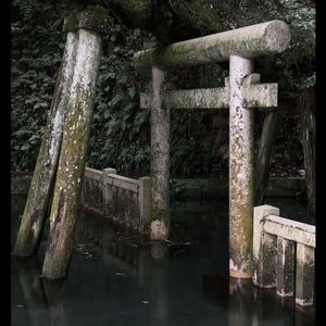 泪与风化作雨中梦