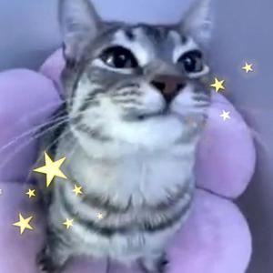 Finally Breathe! (feat. bedframe)