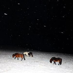 "谜冬" Trap&Emo&Melody Type Beat