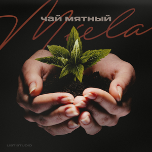 Чай мятный