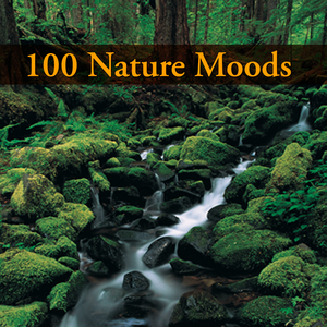 Dilophosaurus (In The Style Of Jurassic Park)