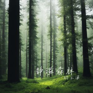 穿越时空的思念