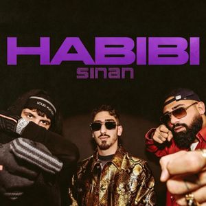 Habibi(_二林 Remix)