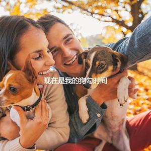 Thrilling Virtual Flashes