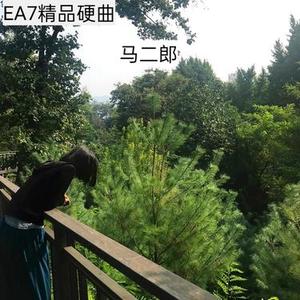 EA7精品硬曲002
