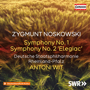 Symphony No. 2 in C Minor, "Elegiac":I. Moderato misterioso