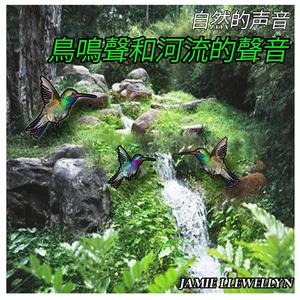 自然的声音: 鳥鳴聲和河流的聲音