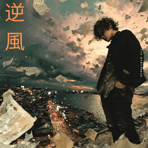 ノイズキャンセラー