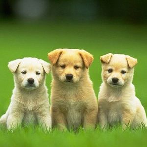 还是你懂得爱我