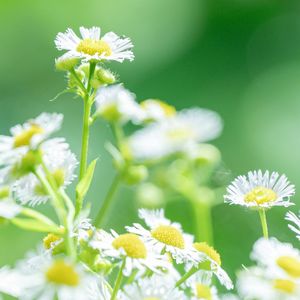 引力之外的絮语