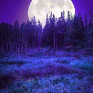 Продолжается